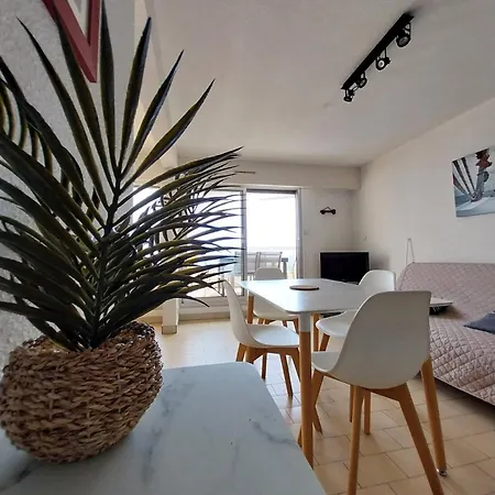 Double Terrasse En 1ere Ligne Mer, Dernier Etage Sète